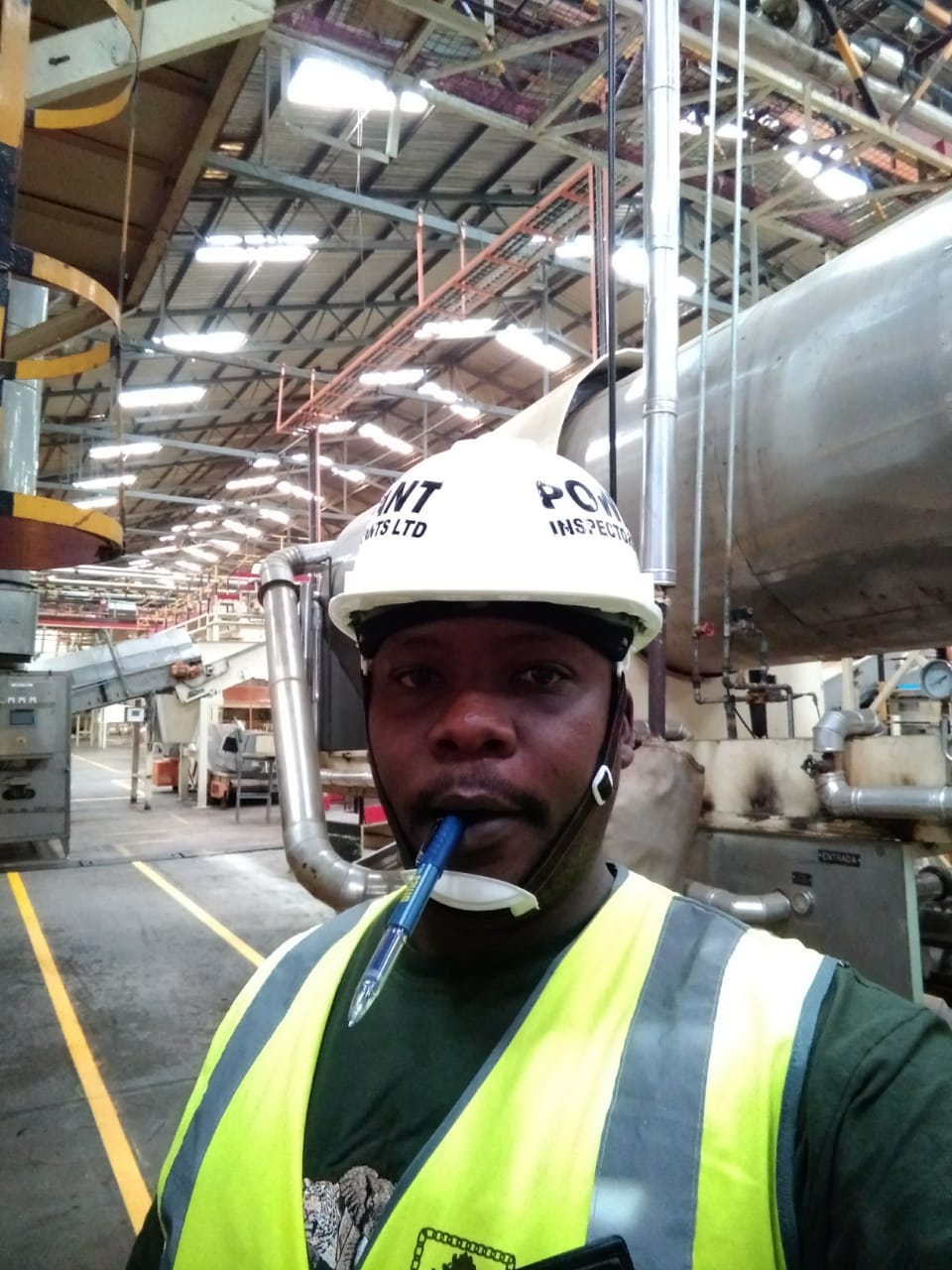 Inspecting Ladders Electric Hoists Life Lines and Anchoring Points